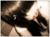 FriEnd`