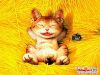 d�ߦn��>..<`