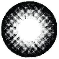 ˵