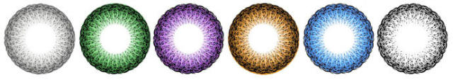 ˵