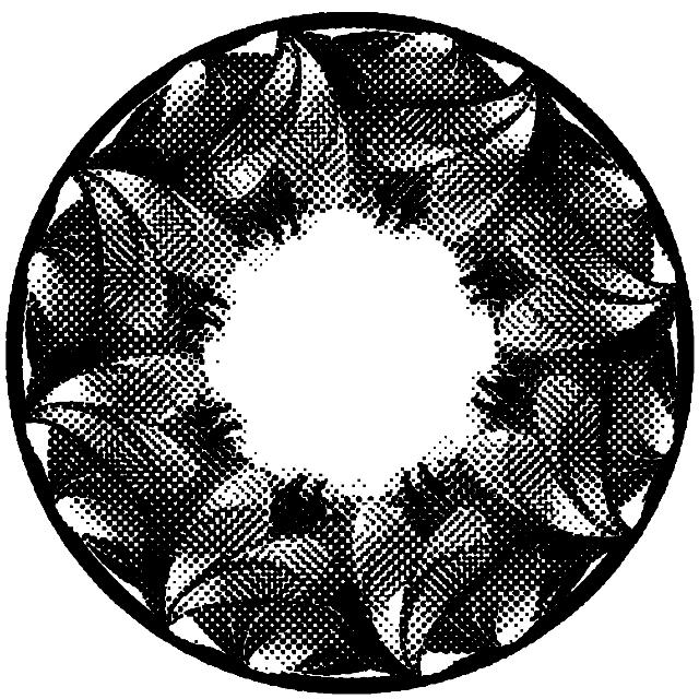 ˵