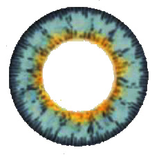 ˵