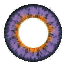 ˵