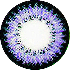 ˵