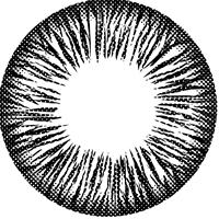 ˵
