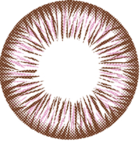 ˵