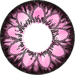 ˵