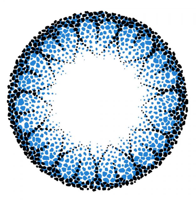 ˵