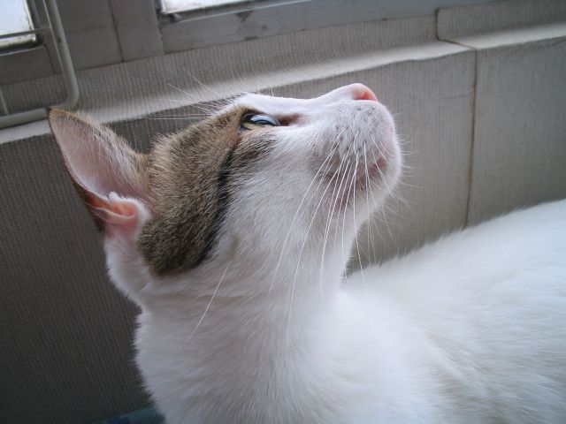 �˵����