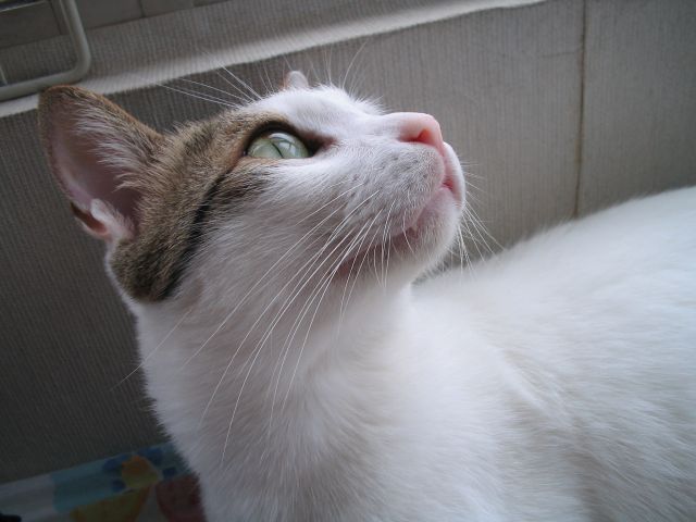 �˵����