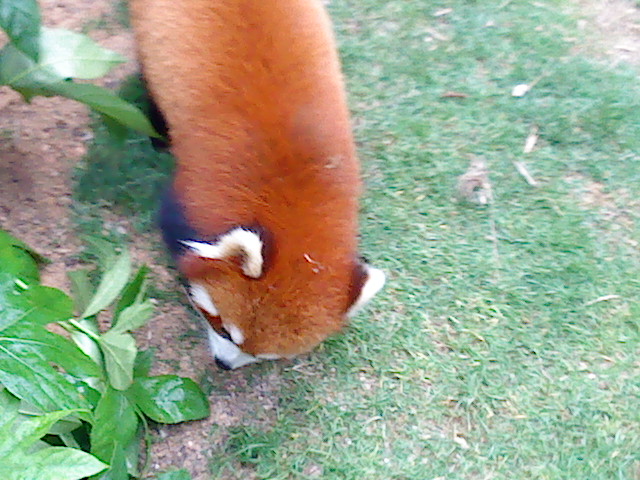 ˵
