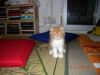 when we were baby