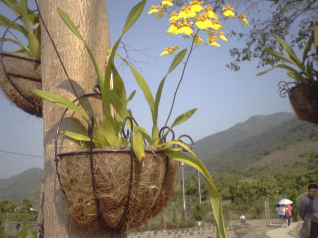 ˵