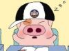Mcdull