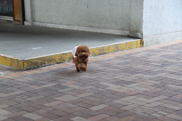 ˵