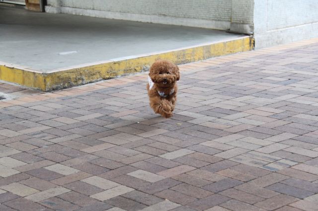 ˵