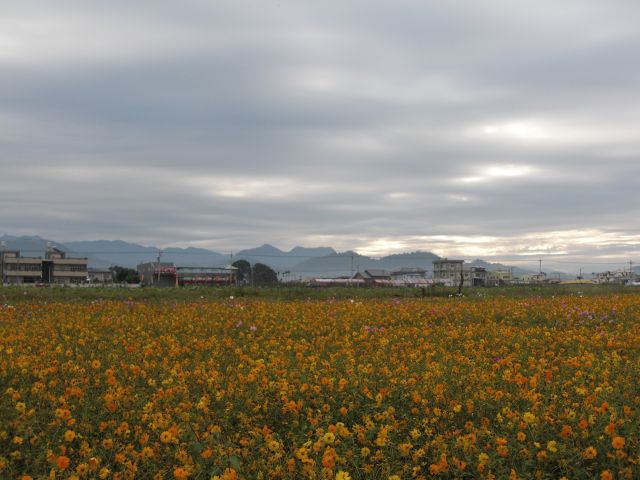 ˵