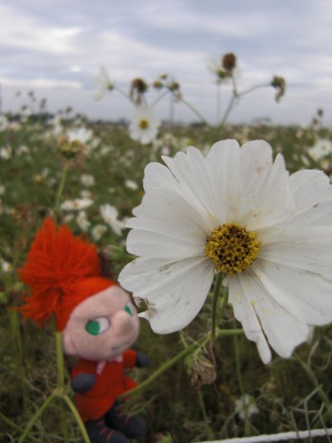 ˵