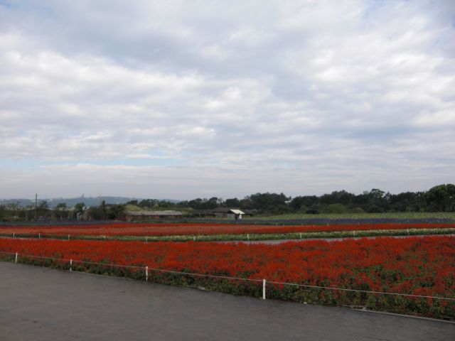 ˵