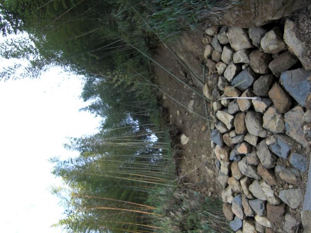 ˵