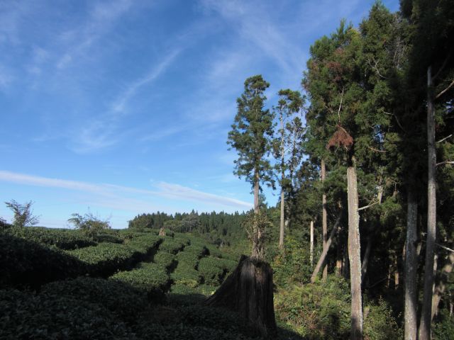 ˵