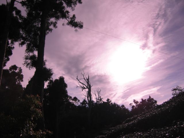 ˵