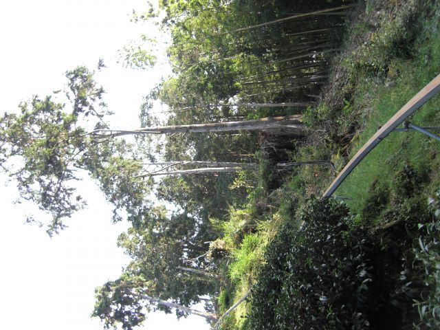 ˵
