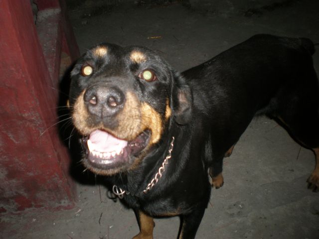 ˵
