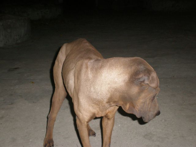 ˵