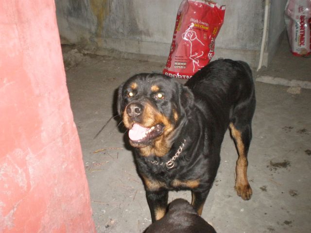 ˵