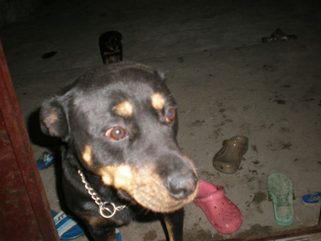 ˵