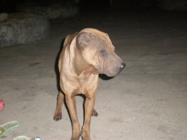 ˵