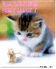 ��3_IHL