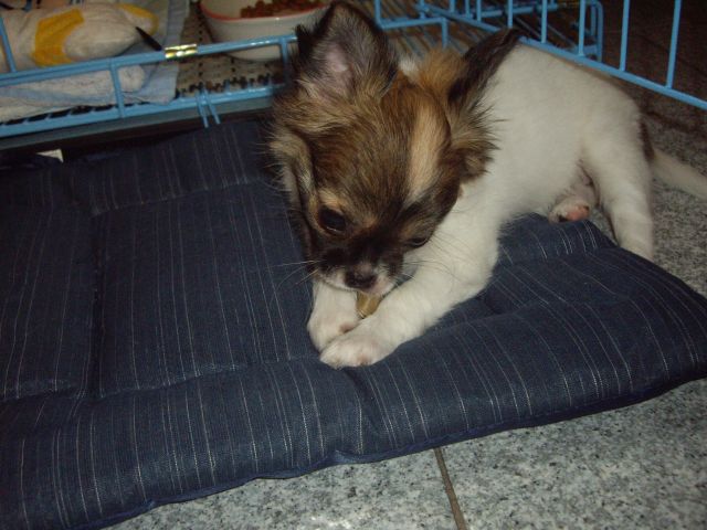 ˵