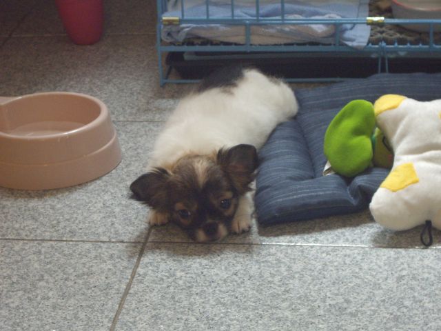˵