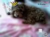 �ڮa�R�d~ >��<!!!