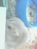 �ڪ��k��~�¬�