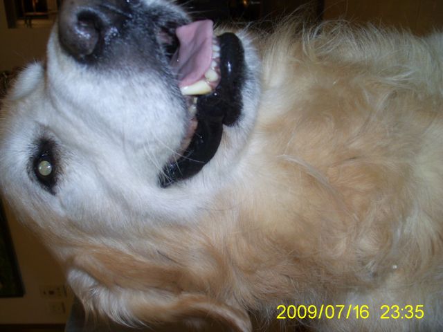 ˵