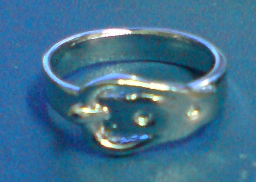 ˵