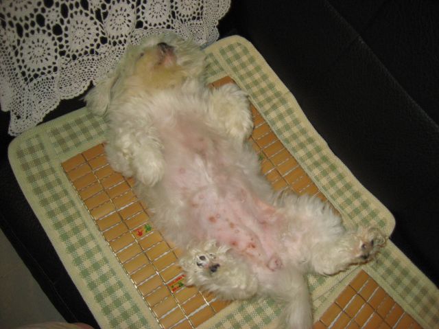 ˵