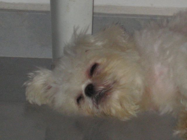 ˵
