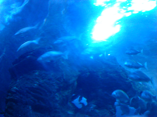 ˵