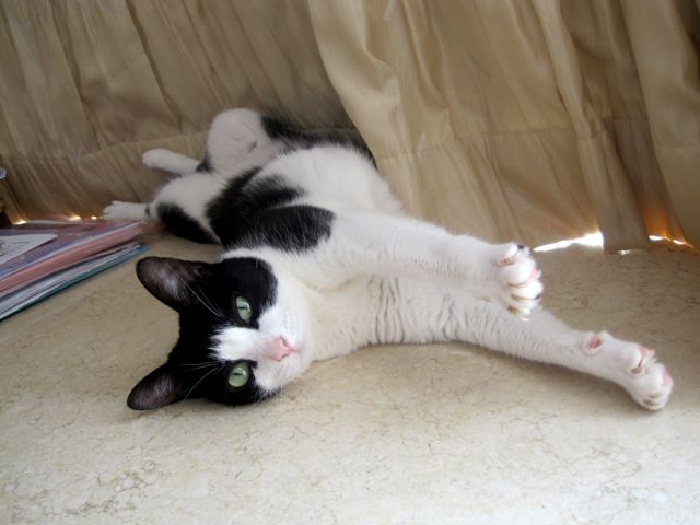 ˵