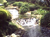 ˵