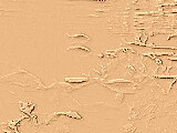 ˵