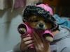 emilyyan��爱��
