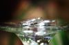 WeddingDay
