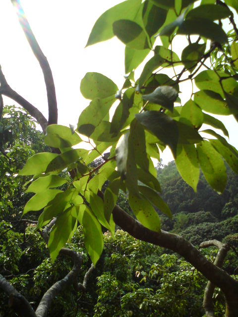 ˵