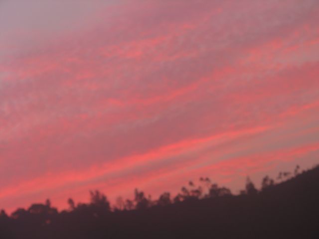 ˵