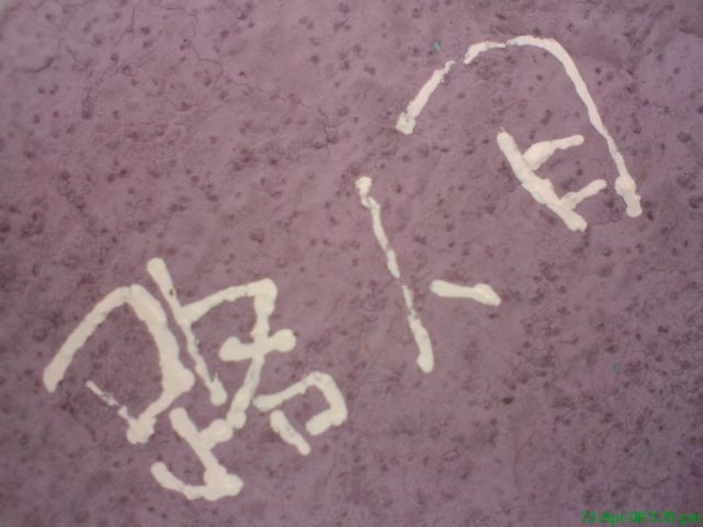 ˵